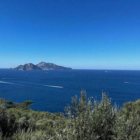 Apartment Don Luigino - Capri View By Interhome Massa Lubrense Bagian luar foto